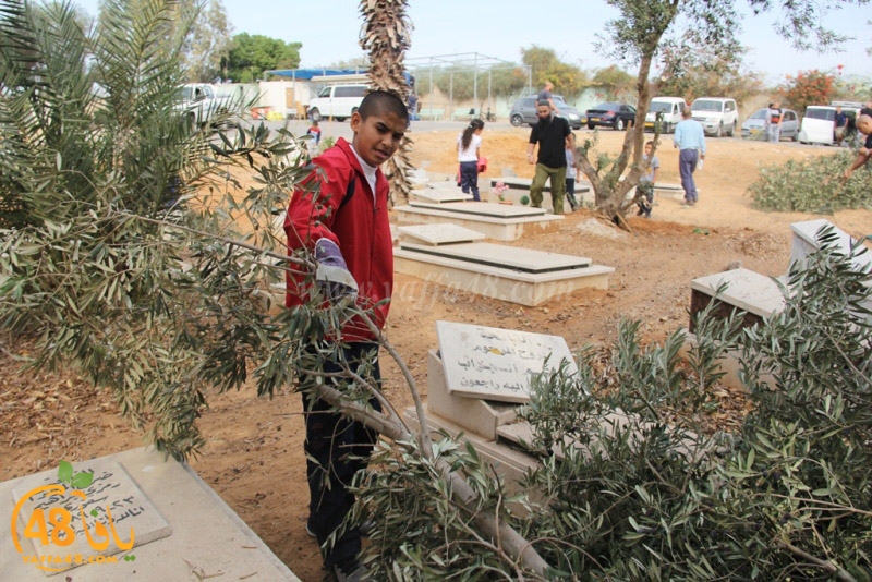 tasoooi3i1412 (18).JPG